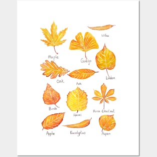 Yellow Autumn leaves collection watercolor Posters and Art